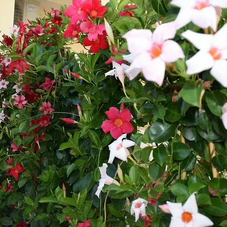 Lido Rosa Guest house